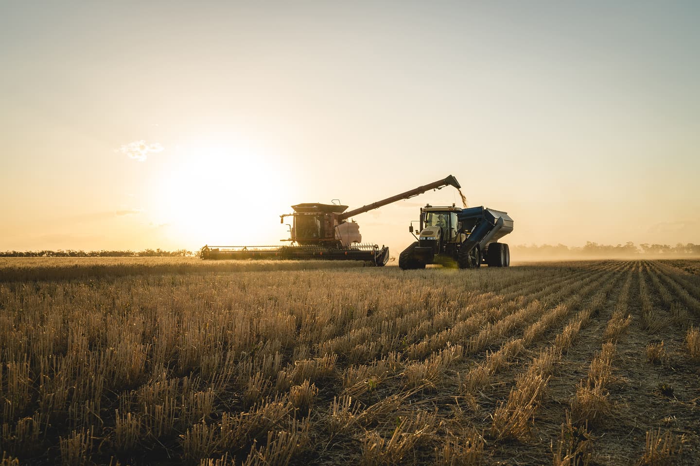 Expo Inter Background